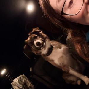 Image of Luna (Lucy), Lost Dog