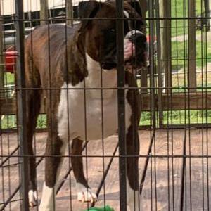 Lost 1 Finley (Tennessee)