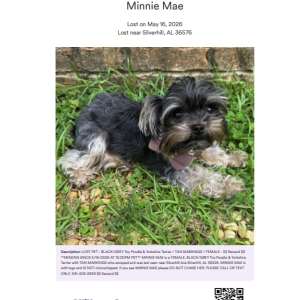 Lost Dog Minnie Mae