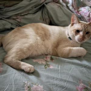 Lost 2 Jasper (Texas)