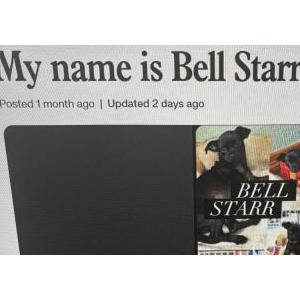 Image of Bell Starr, Lost Dog