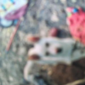 Image of Oden, Lost Dog