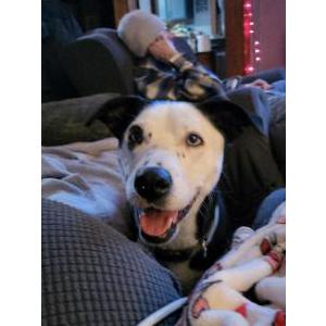 Lost 1 Cora (Minnesota)