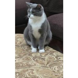 Lost 2 Winston (Ivo) (IL)
