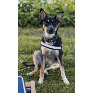 Lost 1 Bailey (New York)