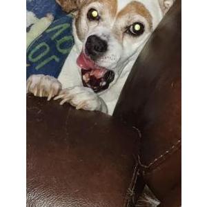 Lost 1 Zeus (Indiana)