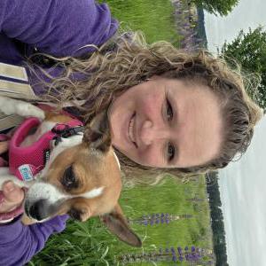 2nd Image of Basil, Lost Dog