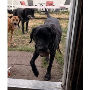 Lost 1 Cali (Washington)