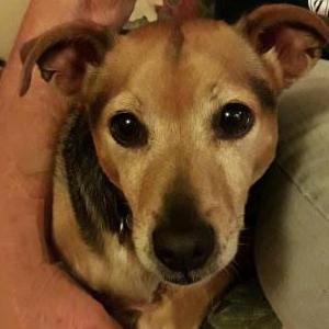 Lost 1 Rucky (California)