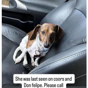 Lost 1 Oakley (NM)