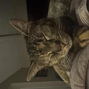 Lost 2 Junie (Texas)