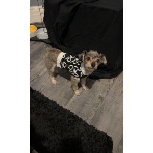 Lost 1 Princess (California)