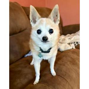 Lost 1 Jax (Alabama)