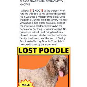 Lost 1 Gunner (NC)