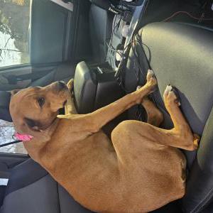 Lost 1 Eliza (Texas)