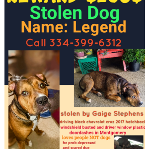 Image of Legend, Lost Dog