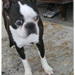 Lost 1 Max (Texas)