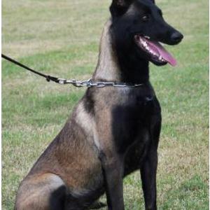 Lost 1 Princess Charlotte (Texas)