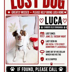 Lost 1 Luca (Florida)
