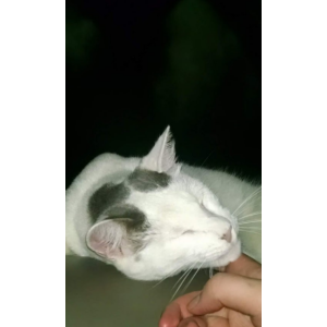 Lost 2 Prince (TX)