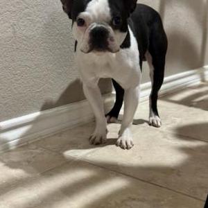 Lost 1 Winston (Texas)
