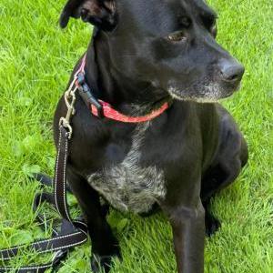 Lost 1 Olivia (Michigan)
