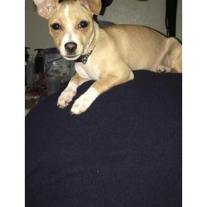 Lost 1 Lucky (California)
