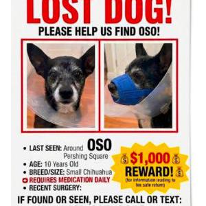 Lost 1 Oso (California)