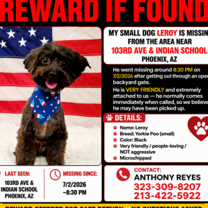 Image of Leroy, Lost Dog