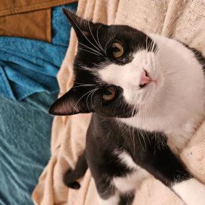 Lost 2 Mr. Biff (Minnesota)