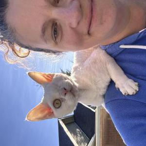 Image of Ricky Waffles, Lost Cat