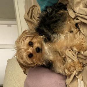 Lost 1 Dior Aurora (CA)