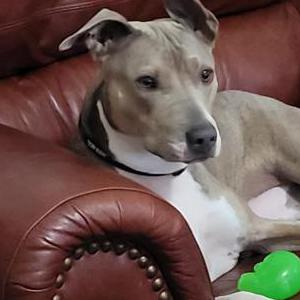 Lost 1 Kingston (Arizona)