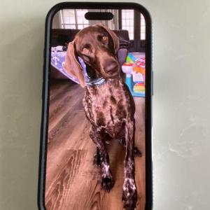 Lost 1 Rusty (Florida)
