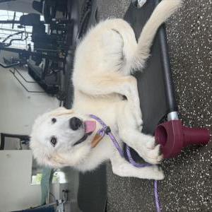 Lost 1 Kali (Texas)