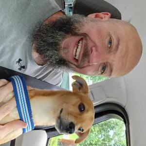 Image of Coffee, Lost Dog