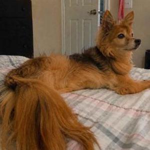 Lost 1 Freddie (Georgia)