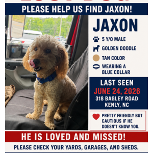 Image of Jaxon Hudson, Lost Dog