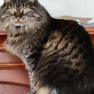 Lost 2 Sadie (Idaho)