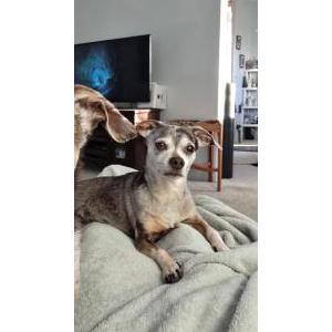 Lost 1 Hudson (Washington)