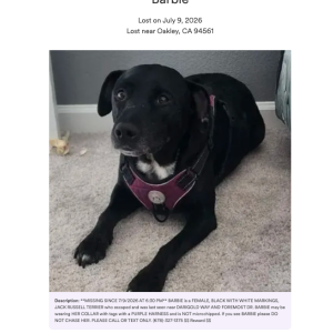 Image of Barbie, Lost Dog