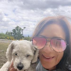 Image of CHAYA, Lost Dog