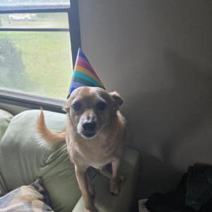 Lost 1 Finn (VA)