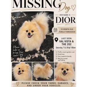 Lost 1 Dior (Arizona)