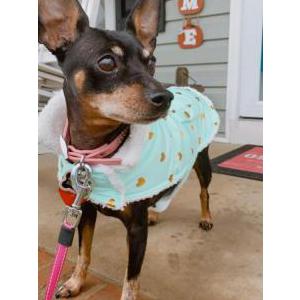 Lost 1 Lola (California)