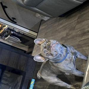 Lost 1 Hank (Iowa)