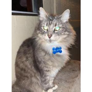 Lost 2 Missy (Oregon)