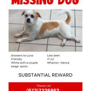 Lost 1 Luna (New Jersey)
