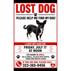 Image of Oreo, Lost Dog