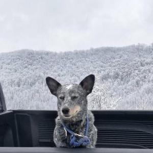 Lost 1 Trouble (NJ)